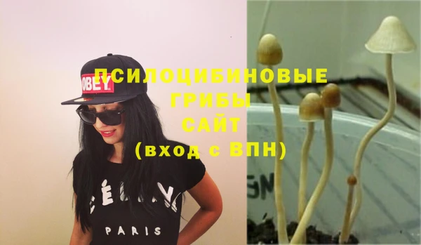 крисы Верея
