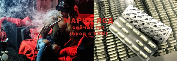 марки lsd Бородино