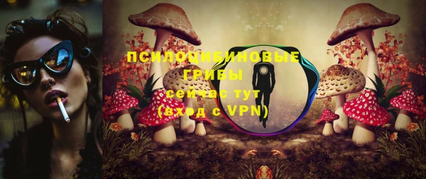 марки lsd Бородино