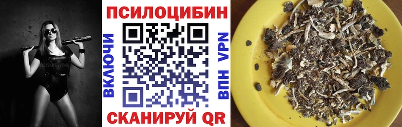 площадка какой сайт Грайворон Псилоцибиновые грибы ЛСД
