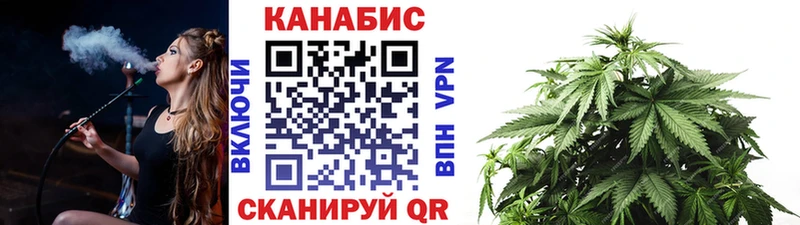 сколько стоит  Грайворон  Бошки марихуана сатива 